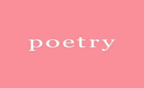 Poetry Sales Assistant Job Hyde Park